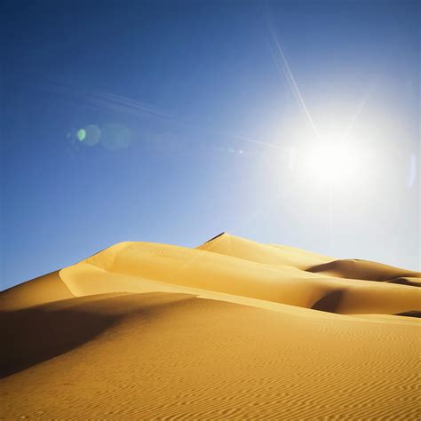 Sahara Sun betsul